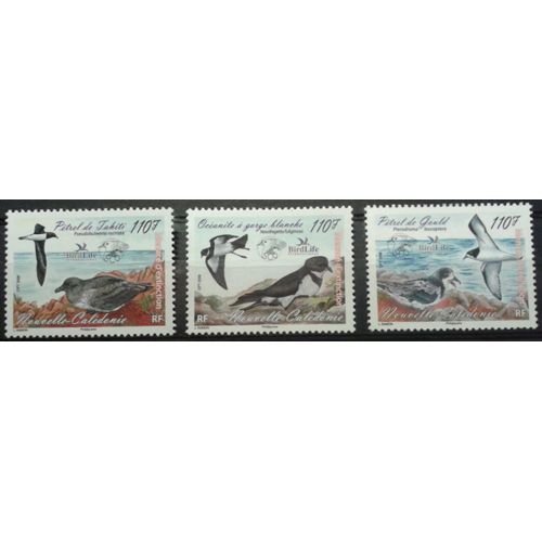 3 Timbres Nouvelle-Calédonie 2008 Yvert Et Tellier N°1038, 1039 Et 1040 Petrels Oiseaux Menacés D'extinction Neufs**