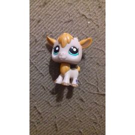Petshop 2299 Chèvre Orange Beige