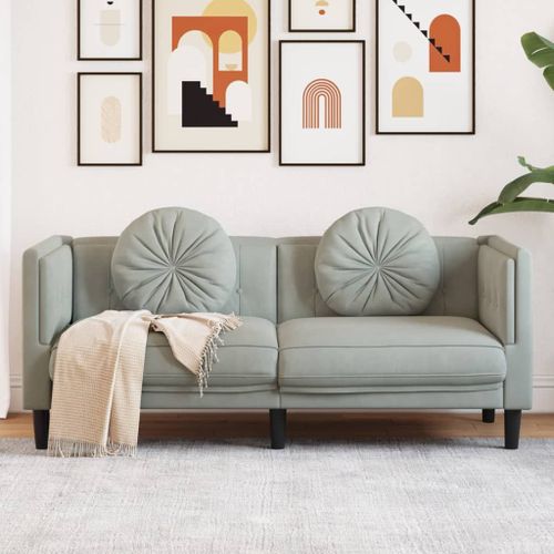 Vidaxl Canapé Avec Coussins 2 Places Gris Clair Velours