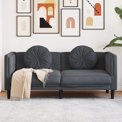 Vidaxl Canapé Avec Coussins 2 Places Gris Foncé Velours