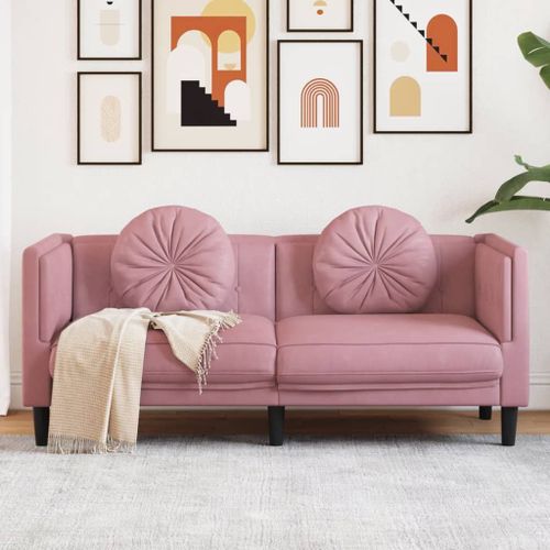 Vidaxl Canapé Avec Coussins 2 Places Rose Velours