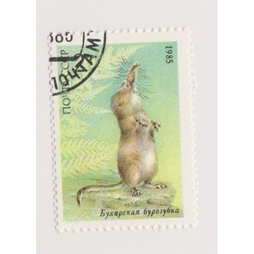 Timbre Cccp Noyta Russe Russie Bielorussie Rat Souris ? Animaux 1985