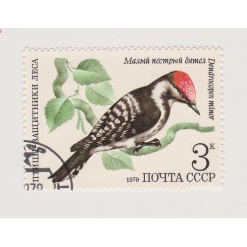 Timbre Cccp Noyta Russe Russie Bielorussie Oiseau Oiseaux Animaux 3k 1979