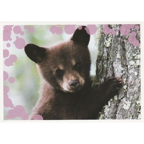 N°26 - Stickers Image Panini Disney Animaux Bebes Calins