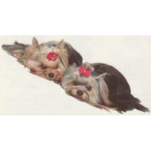 N°30 - Stickers Image Panini Disney Animaux Bebes Calins