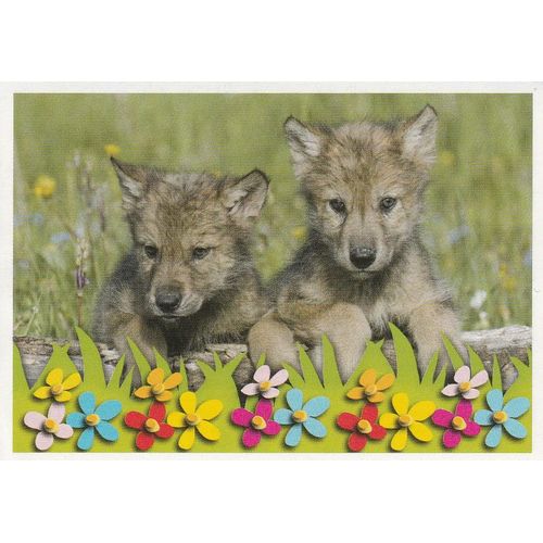 N°2 - Stickers Image Panini Disney Animaux Bebes Calins