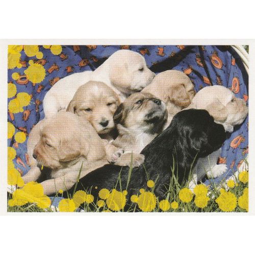 N°7 - Stickers Image Panini Disney Animaux Bebes Calins