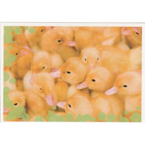 N°13 - Stickers Image Panini Disney Animaux Bebes Calins