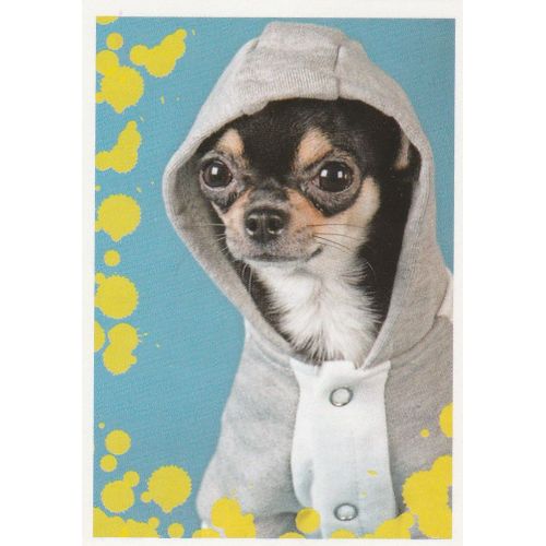 N°36 - Stickers Image Panini Disney Animaux Bebes Calins