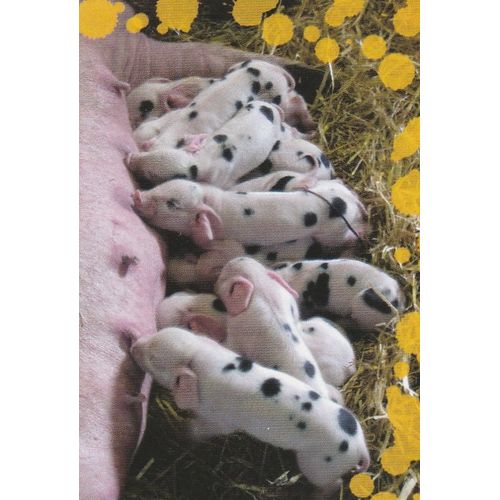 N°38 - Stickers Image Panini Disney Animaux Bebes Calins