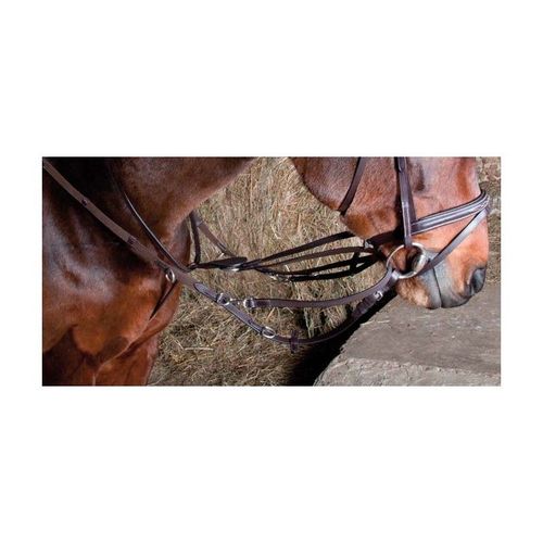 Enrênement Howlett Havane Cheval