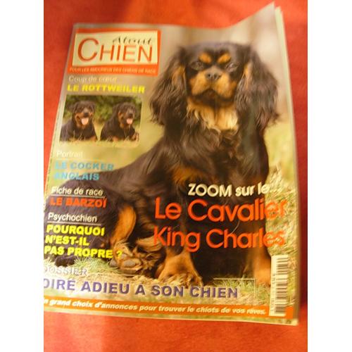 Atout Chien 279 : Le Cavalier King Charles/Le Coker Anglais/Le Barzoi