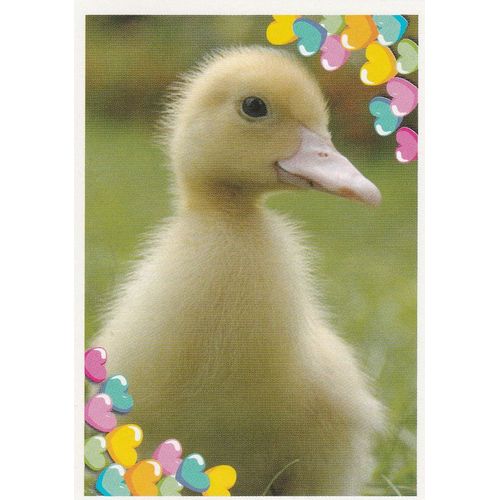 N°73 - Stickers Image Panini Disney Animaux Bebes Calins