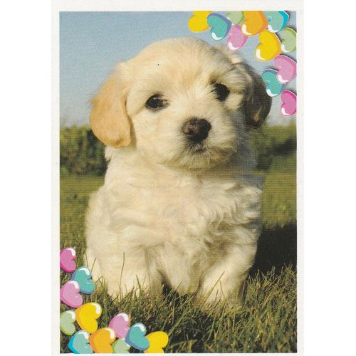 N°75 - Stickers Image Panini Disney Animaux Bebes Calins