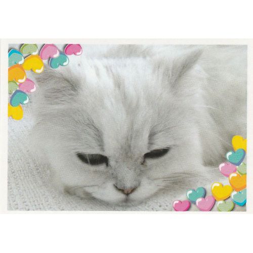 N°77 - Stickers Image Panini Disney Animaux Bebes Calins