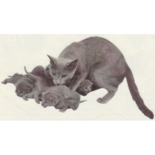 N°79 - Stickers Image Panini Disney Animaux Bebes Calins
