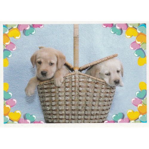 N°59 - Stickers Image Panini Disney Animaux Bebes Calins