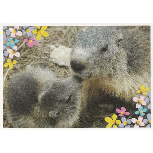 N°87 - Stickers Image Panini Disney Animaux Bebes Calins