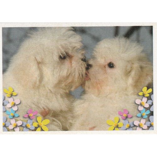 N°89 - Stickers Image Panini Disney Animaux Bebes Calins