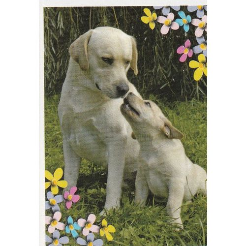 N°91 - Stickers Image Panini Disney Animaux Bebes Calins