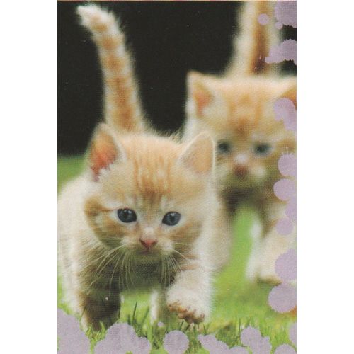 N°102 - Stickers Image Panini Disney Animaux Bebes Calins