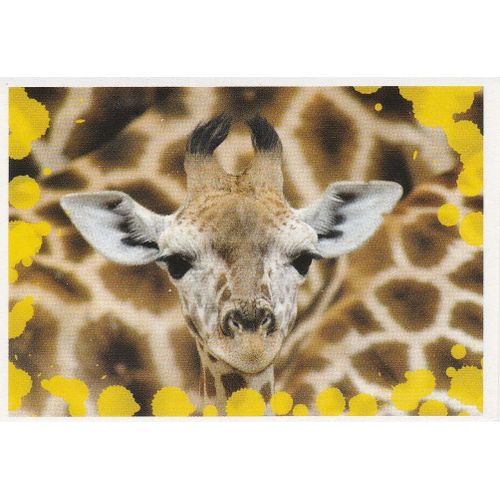 N°105 - Stickers Image Panini Disney Animaux Bebes Calins
