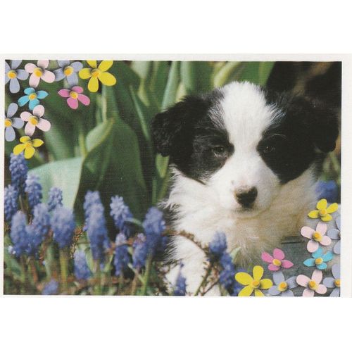 N°107 - Stickers Image Panini Disney Animaux Bebes Calins