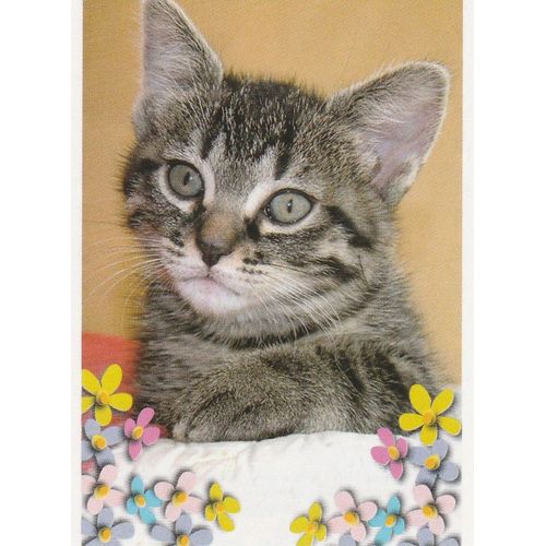 N°109 - Stickers Image Panini Disney Animaux Bebes Calins