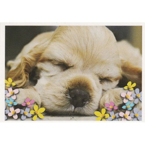 N°115 - Stickers Image Panini Disney Animaux Bebes Calins