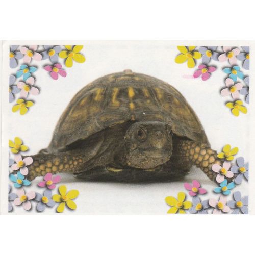 N°119 - Stickers Image Panini Disney Animaux Bebes Calins
