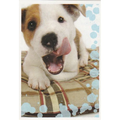 N°135 - Stickers Image Panini Disney Animaux Bebes Calins