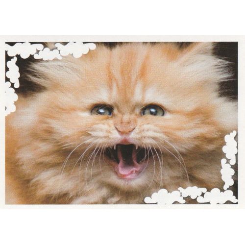 N°137 - Stickers Image Panini Disney Animaux Bebes Calins