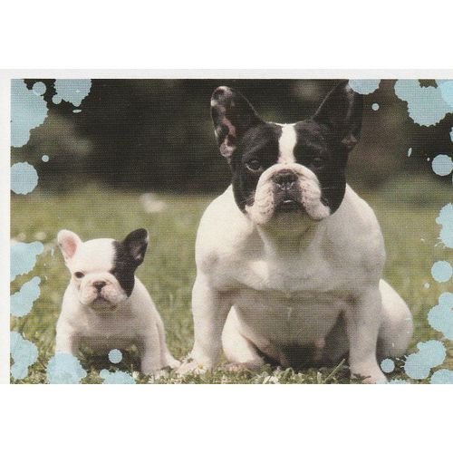 N°140 - Stickers Image Panini Disney Animaux Bebes Calins