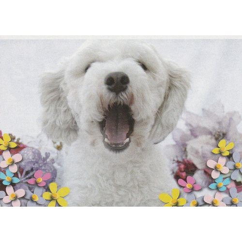 N°142 - Stickers Image Panini Disney Animaux Bebes Calins