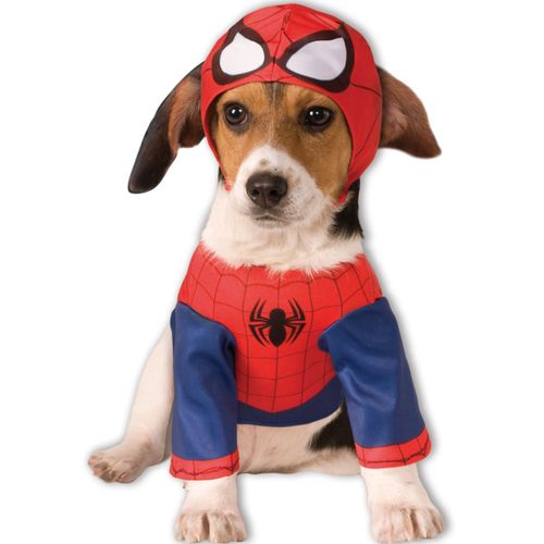 Déguisement Pour Chien Spiderman Medium