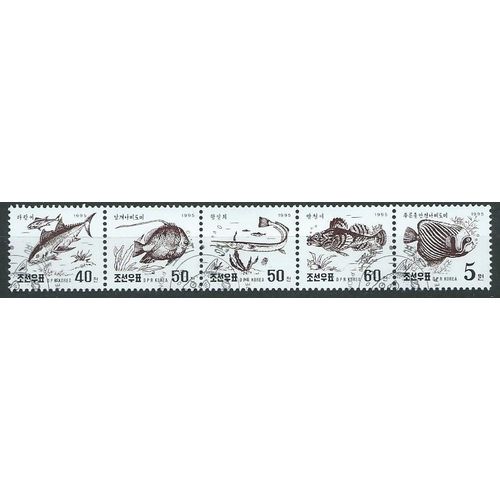 Poissons De Mer. Bande De 5 Timbres Corée Du Nord 1995
