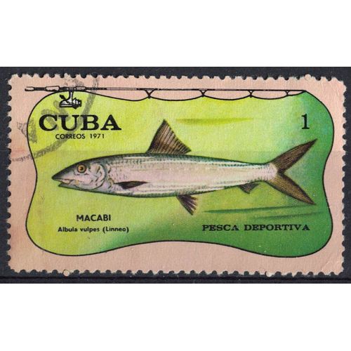 Cuba 1971 Oblitéré Used Pêche Sportive Poisson Macabi Albula Vulpes Su