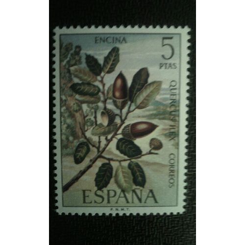 Timbre Espagne ( Yt 1742 ) 1972 Chêne Vert