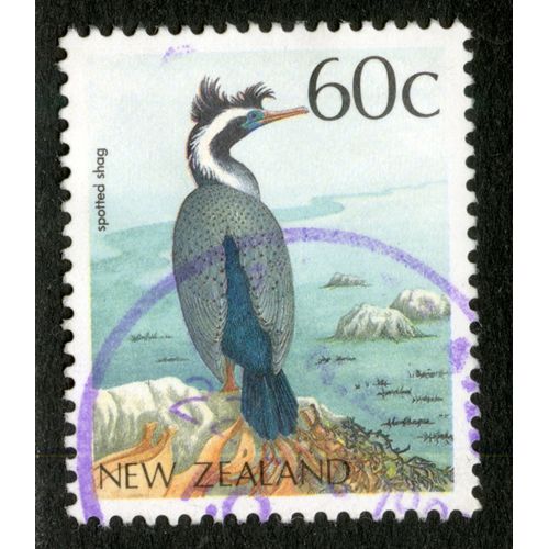 Timbre Oblitéré New Zealand, Spotted Shag, 60c