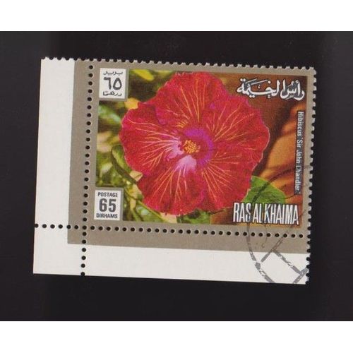 Timbre Ras Al Khaima Émirats Arabes Unis Fleurs Hibiscus 65