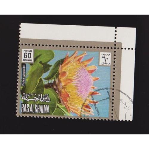 Timbre Ras Al Khaima Émirats Arabes Unis Fleurs Protea 60