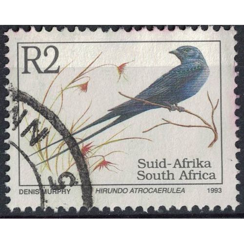 Afrique Du Sud 1993 Oblitéré Used Bird Oiseau Hirundo Atrocaerulea Hirondelle Bleue Su