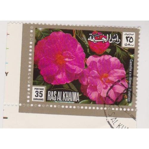 Timbre Ras Al Khaima Émirats Arabes Unis Fleur Fleurs Camellia 35