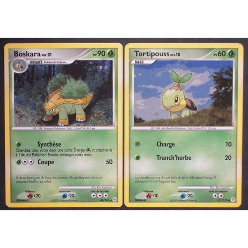 Diamant & Perle - Boskara (49) + Tortipouss (103/130)