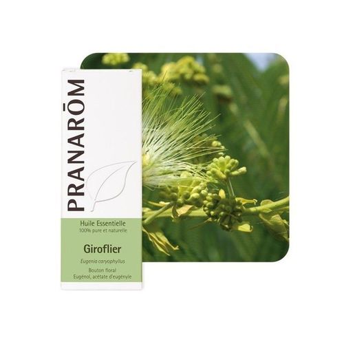 Pranarôm Huile Essentielle De Giroflier 10ml 