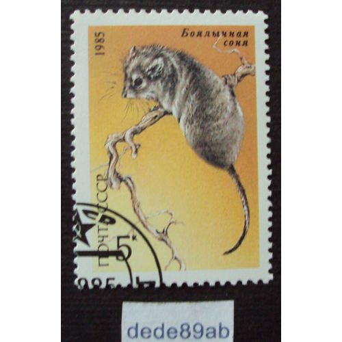 Biélorussie.. 5k Noyta Cccp Russie . Rat,Souris . Oblitéré Used Stamp.