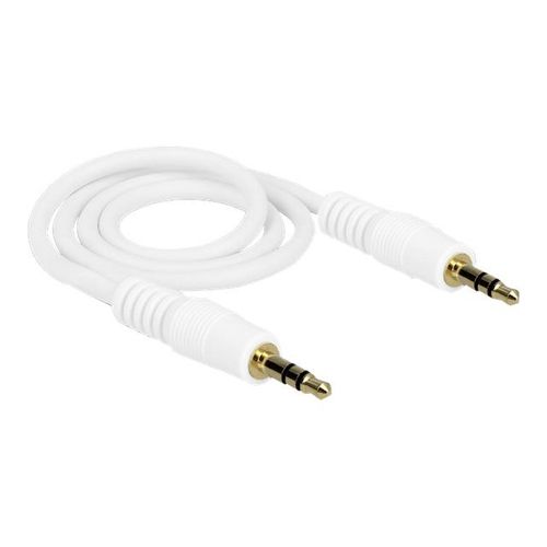 Delock - Câble audio - mini-phone stereo 3.5 mm mâle pour mini-phone stereo 3.5 mm mâle - 50 cm - blanc