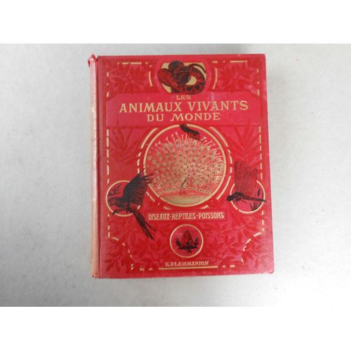 Animaux Vivants Du Monde Oiseaux Poissons Reptiles J. Cornish 12 Pl Couleurs