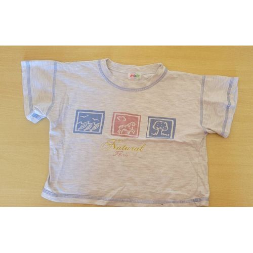 Tee-Shirt Frisby