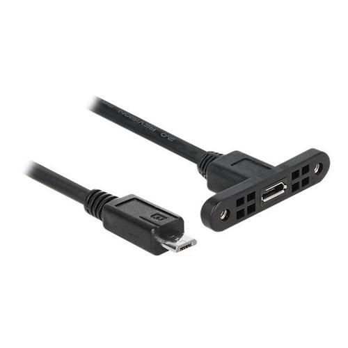 Delock - Rallonge de câble USB - Micro-USB de type B (M) pour Micro-USB de type B (F) rackable sur panneau - USB 2.0 - 25 cm - noir